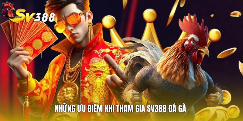 Những ưu điểm khi tham gia SV388 đá gà